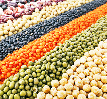 Pulses