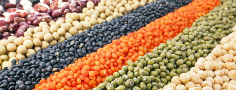 Pulses